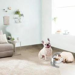 All For Paws Bol Surélevés 3 En 1 Lifestyle 4 Pets AFP 15 All For Paws Bol Surélevés 3 En 1 Lifestyle 4 Pets AFP -magasin de soins pour chiens all for paws bol sureleves 3 en 1 lifestyle 4 pets afp afp5736 6