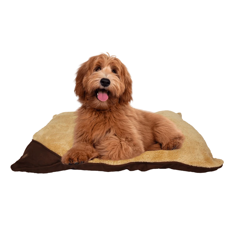 All For Paws Coussin En Laine AFP 3 All For Paws Coussin En Laine AFP