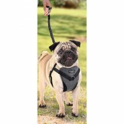 All For Paws Harnais 2 En 1 AFP Travel Dog Marche & Voyage -magasin de soins pour chiens all for paws harnais 2 en 1 afp travel dog marche voyage 8135 3