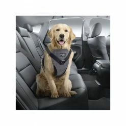 All For Paws Harnais 2 En 1 AFP Travel Dog Marche & Voyage -magasin de soins pour chiens all for paws harnais 2 en 1 afp travel dog marche voyage 8135 5