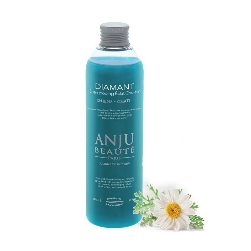 Shampooing Éclat Couleur Diamant Anju Beauté 250 Ml 3 Shampooing Éclat Couleur Diamant Anju Beauté 250 Ml