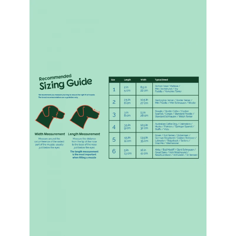 Muselière Baskerville Ultra Taille 2 4 Muselière Baskerville Ultra Taille 2 – Image 2