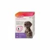 Diffuseur Calmant + Recharge CaniComfort Beaphar 48 Ml 2 Diffuseur Calmant + Recharge CaniComfort Beaphar 48 Ml -magasin de soins pour chiens beaphar diffuseur calmant recharge canicomfort beaphar 48 ml 17395