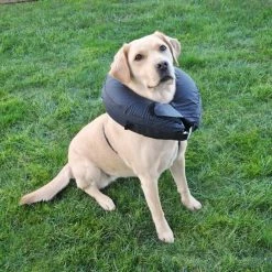 Collerette Gonflable Camon 6 Collerette Gonflable Camon -magasin de soins pour chiens camon collerette gonflable camon d098 01 1