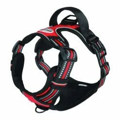 Harnais Réglable Rembourré Camon