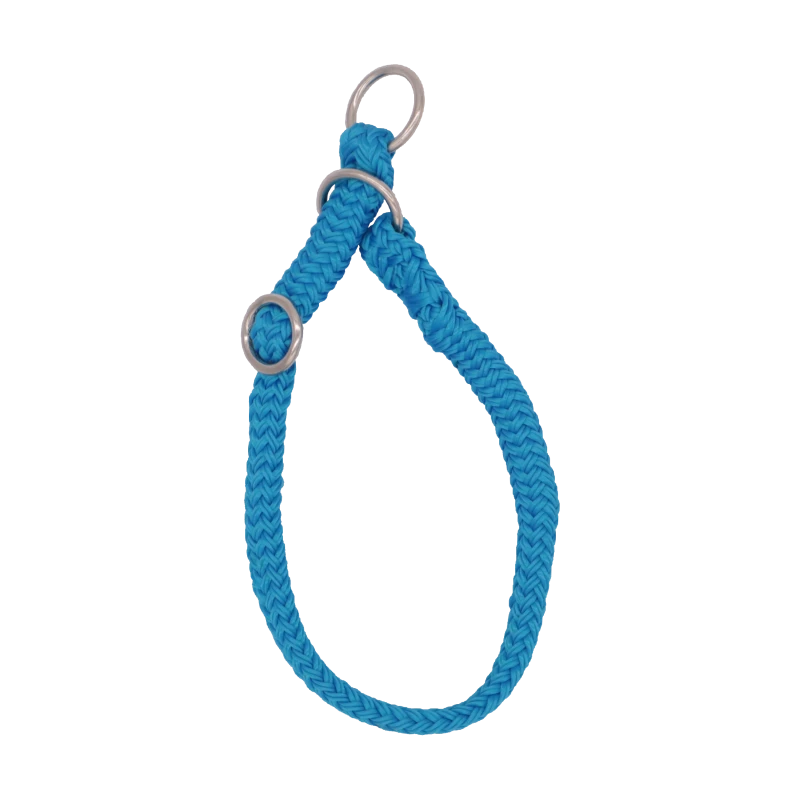 Collier Réglable En Polyester 35 Cm Dinoleine 3 Collier Réglable En Polyester 35 Cm Dinoleine