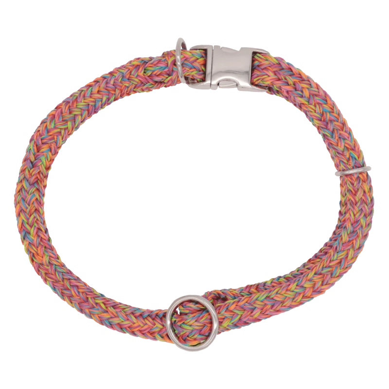 Collier Réglable En Polyester Clip 40/55 Cm Dinoleine 3 Collier Réglable En Polyester Clip 40/55 Cm Dinoleine