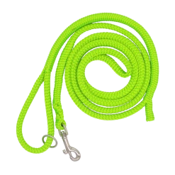 Laisse Ajustable En Polyester Dinoleine