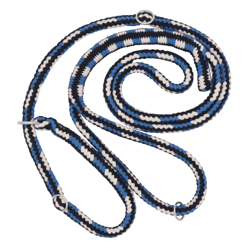 Laisse Lasso Avec Collier En Coton Dinoleine 3 Laisse Lasso Avec Collier En Coton Dinoleine