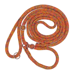 Laisse Lasso Avec Collier En Polyester Dinoleine