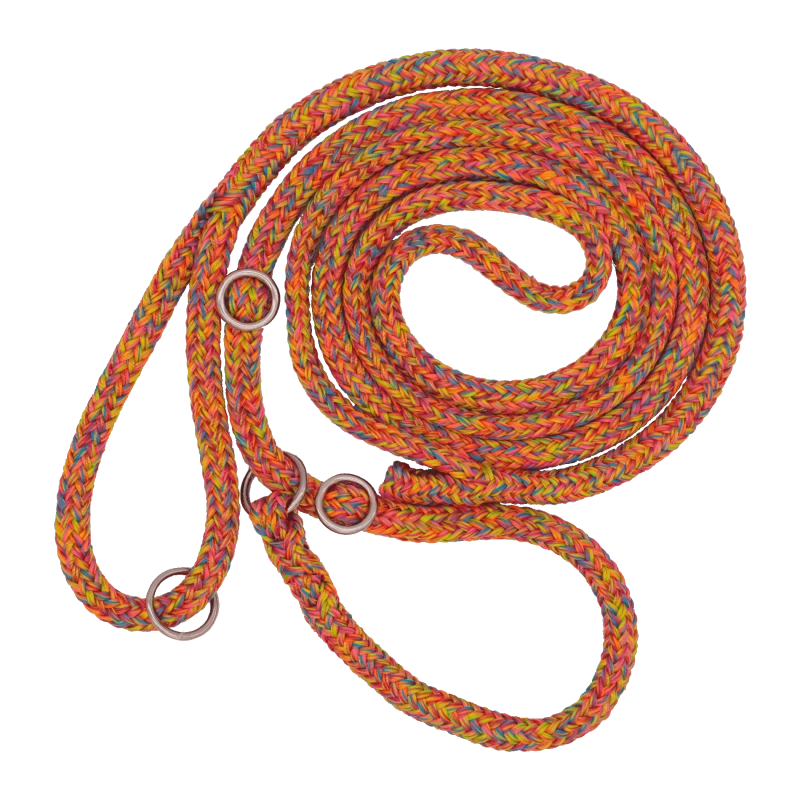 Laisse Lasso Avec Collier En Polyester Dinoleine 3 Laisse Lasso Avec Collier En Polyester Dinoleine