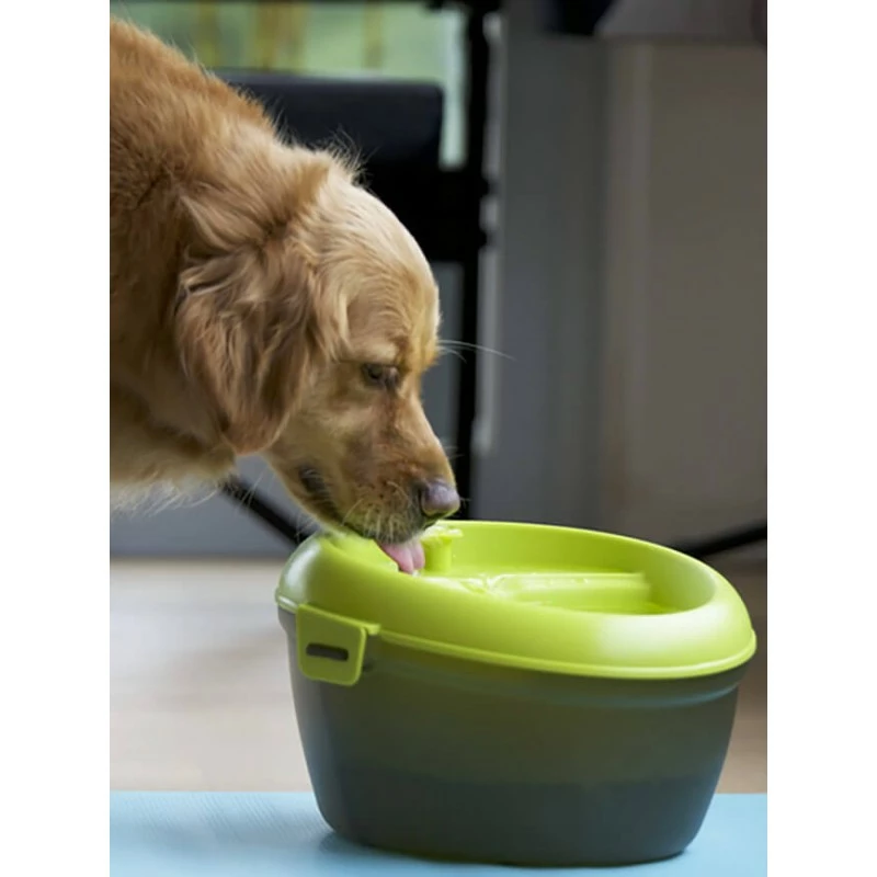 Fontaine à Eau Dog H2O 6 Litres 4 Fontaine à Eau Dog H2O 6 Litres – Image 2