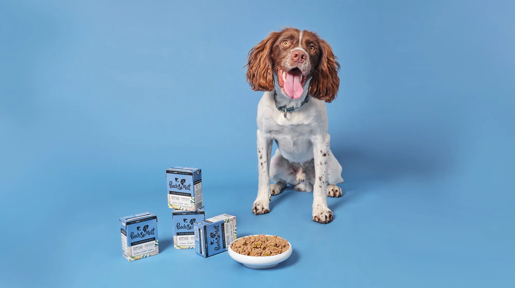 magasin de soins pour chiens 8 magasin de soins pour chiens -magasin de soins pour chiens download 1 a37ceaa0 5eac 4d6f be09 34dbf2e605be