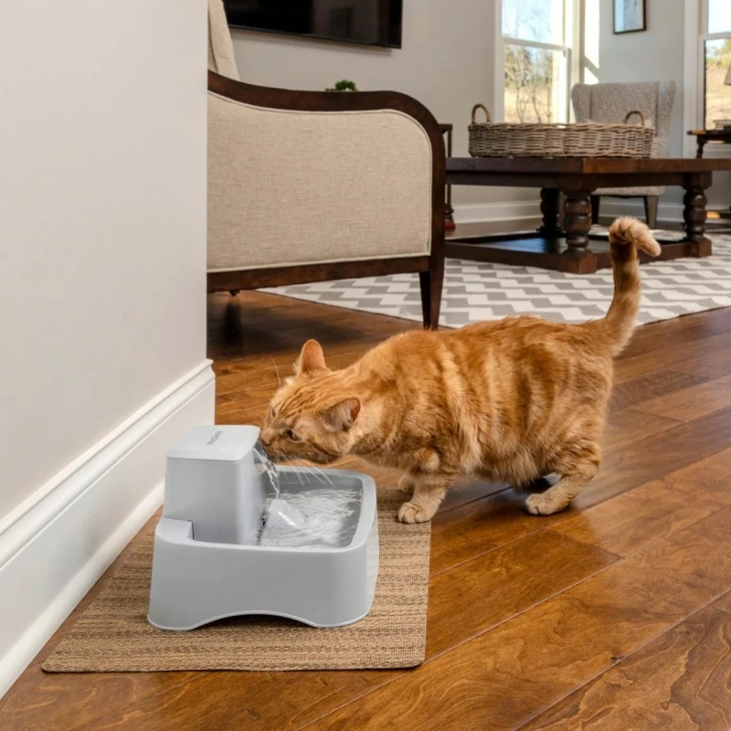 Fontaine à Eau 1,8 L Pour Chat Et Chien - Drinkwell PetSafe 5 Fontaine à Eau 1,8 L Pour Chat Et Chien - Drinkwell PetSafe – Image 3