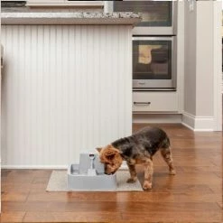 Fontaine à Eau 1,8 L Pour Chat Et Chien - Drinkwell PetSafe 10 Fontaine à Eau 1,8 L Pour Chat Et Chien - Drinkwell PetSafe -magasin de soins pour chiens fontaine a eau 18 l pour chat et chien drinkwell petsafe 3