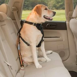 Attache De Sécurité Direct To Seatbelt Kurgo -magasin de soins pour chiens kurgo attache de securite direct to seatbelt kurgo cy0802 2