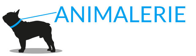 magasin de soins pour chiens