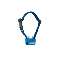 NUM'AXES Collier Anti-aboiement Canicalm First