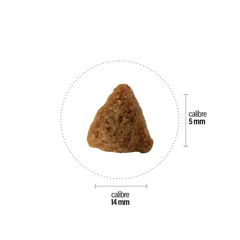 Croquettes Perro Basic - Bio Adulte 5 Croquettes Perro Basic - Bio Adulte – Image 3