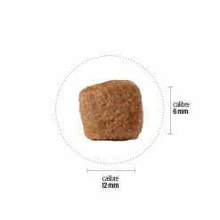 Croquettes Perro Basic - Bio Junior -magasin de soins pour chiens perro croquettes perro basic bio junior 181022 1