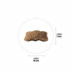 Croquettes Perro Basic - Junior V.2 -magasin de soins pour chiens perro croquettes perro basic junior v2 181035 1