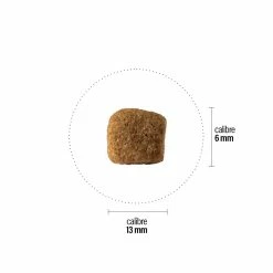 Croquettes Perro Basic - Royal -magasin de soins pour chiens perro croquettes perro basic royal 181017 1