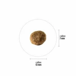 Croquettes Perro Select - Agneau & Riz -magasin de soins pour chiens perro croquettes perro select agneau riz 1